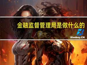 金融监督管理局是做什么的