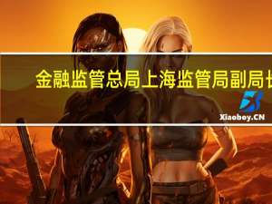 金融监管总局上海监管局副局长：发挥自贸区服务“一带一路”建设的桥头堡功能