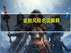 金融风险名词解释（金融风险）