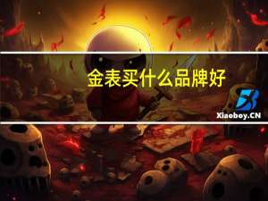 金表买什么品牌好