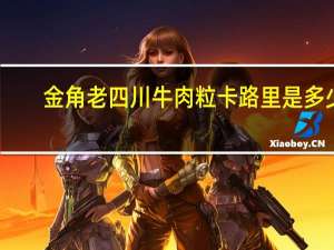金角 老四川牛肉粒卡路里是多少
