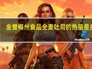 金誉 梅州食品 全麦吐司的热量是多少
