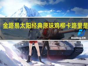 金路易 太阳经典原味鸡柳卡路里是多少