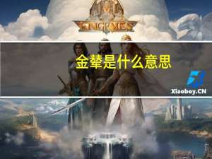 金辇是什么意思
