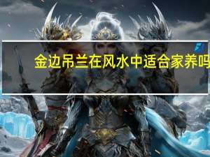 金边吊兰在风水中适合家养吗（金边吊兰的风水作用）