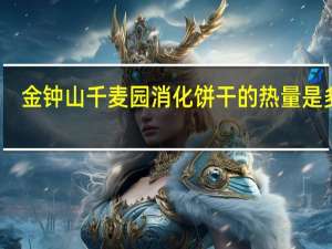 金钟山 千麦园消化饼干的热量是多少