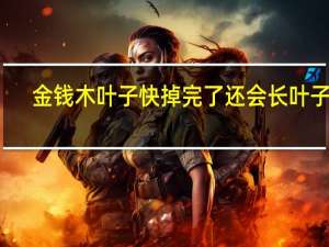 金钱木叶子快掉完了还会长叶子吗