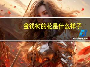 金钱树的花是什么样子