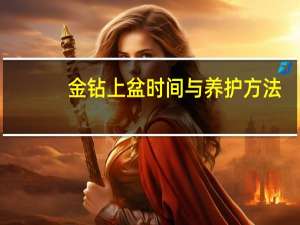 金钻上盆时间与养护方法