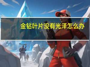 金钻叶片没有光泽怎么办