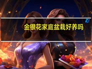 金银花家庭盆栽好养吗