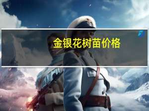 金银花树苗价格