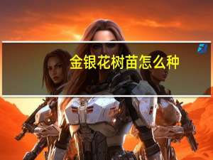 金银花树苗怎么种