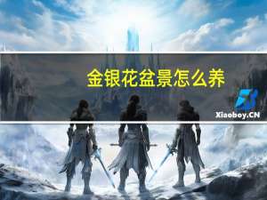 金银花盆景怎么养