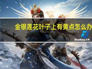 金银莲花叶子上有黄点怎么办