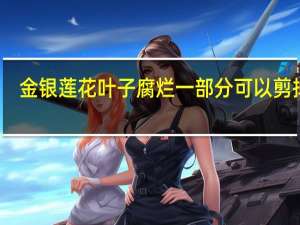 金银莲花叶子腐烂一部分可以剪掉吗