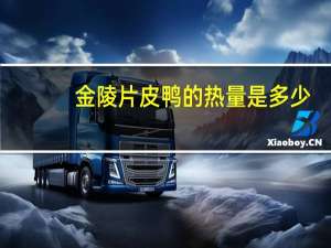 金陵片皮鸭的热量是多少