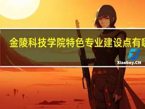 金陵科技学院特色专业建设点有哪些