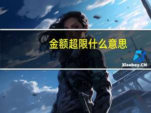 金额超限什么意思