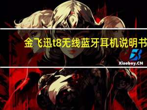 金飞迅t8无线蓝牙耳机说明书（金飞迅）