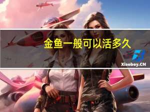 金鱼一般可以活多久