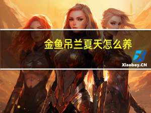 金鱼吊兰夏天怎么养