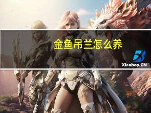 金鱼吊兰怎么养