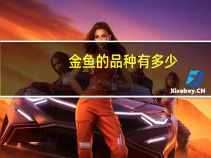 金鱼的品种有多少
