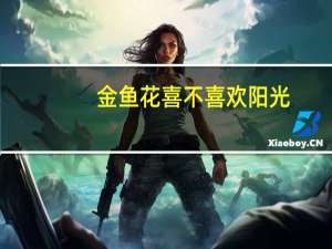 金鱼花喜不喜欢阳光