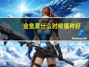 金鱼草什么时候播种好