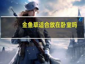 金鱼草适合放在卧室吗