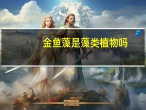 金鱼藻是藻类植物吗