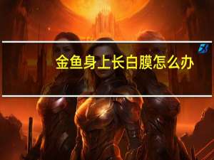 金鱼身上长白膜怎么办（金鱼身上长白点怎么办）