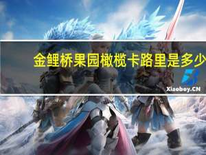 金鲤桥 果园橄榄卡路里是多少