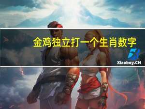 金鸡独立打一个生肖数字（金鸡独立打一个生肖）