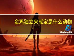 金鸡独立来献宝是什么动物