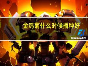 金鸡菊什么时候播种好