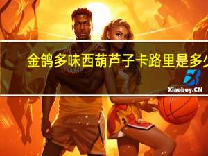 金鸽 多味西葫芦子卡路里是多少