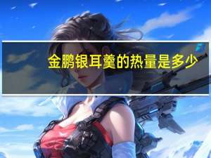 金鹏 银耳羹的热量是多少