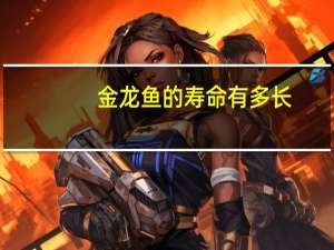 金龙鱼的寿命有多长