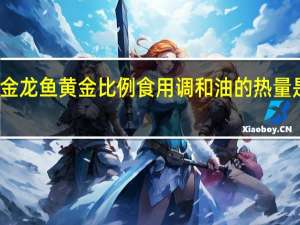 金龙鱼 黄金比例食用调和油的热量是多少