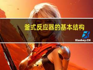 釜式反应器的基本结构