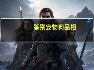 鉴别宠物狗品相