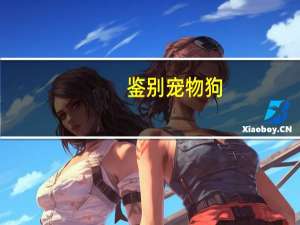 鉴别宠物狗