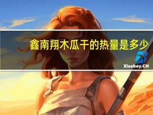 鑫南翔木瓜干的热量是多少