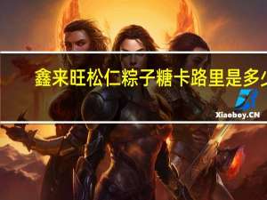 鑫来旺 松仁粽子糖卡路里是多少