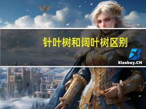 针叶树和阔叶树区别