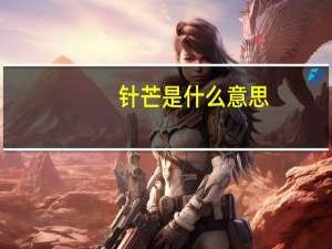 针芒是什么意思