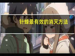 针蜂最有效的消灭方法（针虫）