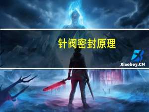 针阀密封原理